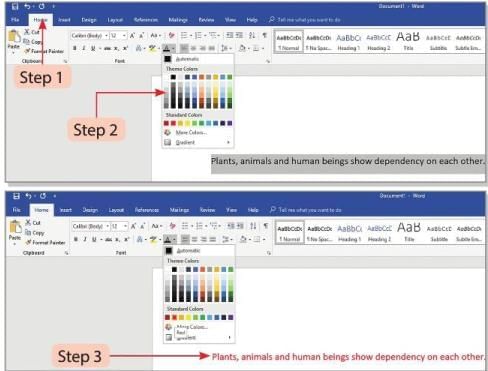 Formatting in Word 2016 Chapter Notes | Computer Studies Class 4 ICSE