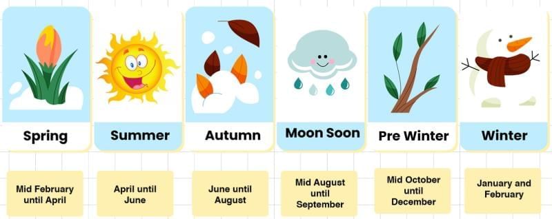 Worksheet Solutions: Rhythms of Nature | Our Wondrous World  Class 5 - New NCERT