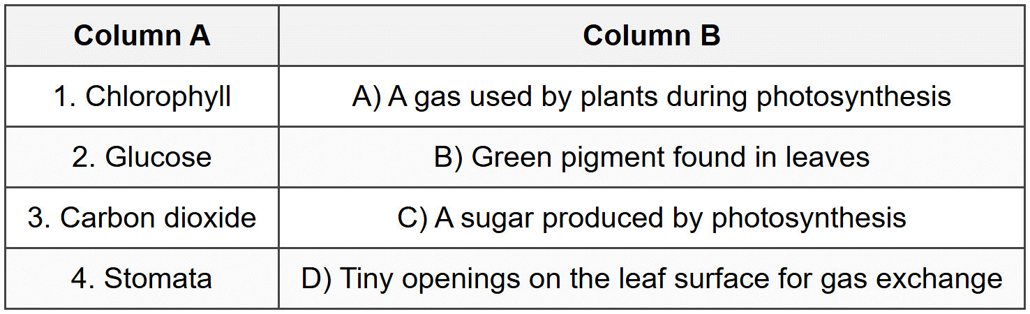 Section C: Match the Column