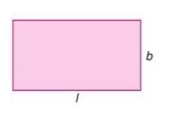 Perimeter and Area Chapter Notes | Mathematics Class 7 ICSE