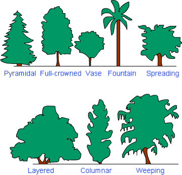 Fig: Types of trees