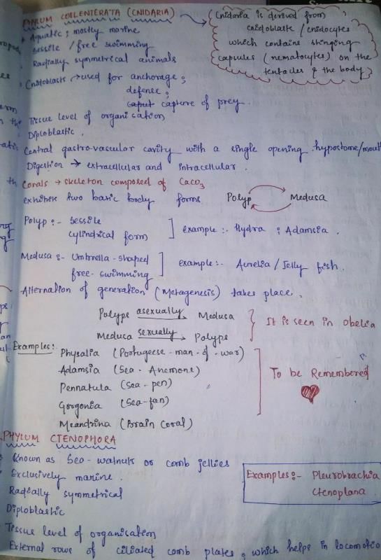 ANIMAL KINGDOM NOTES - MBBS