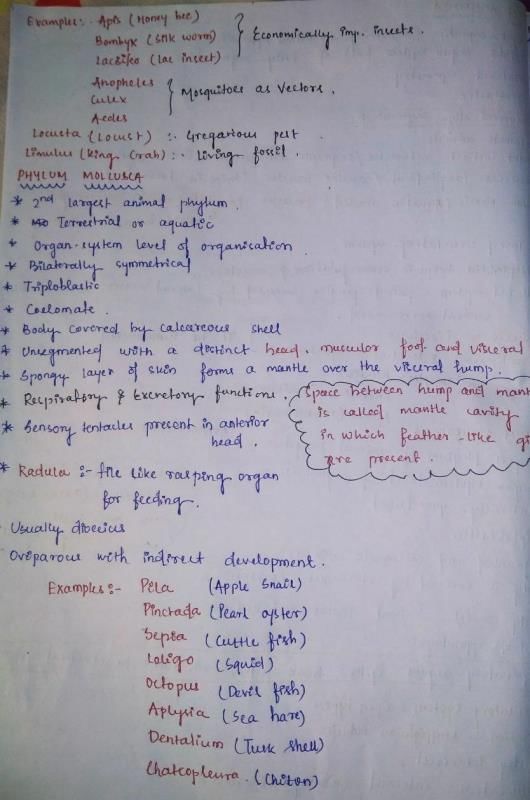 ANIMAL KINGDOM NOTES - MBBS