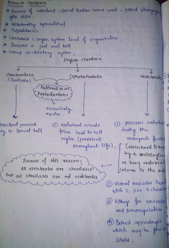 ANIMAL KINGDOM NOTES - MBBS