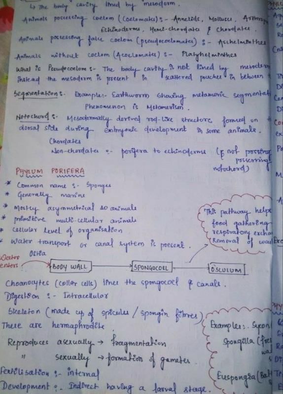 ANIMAL KINGDOM NOTES - MBBS