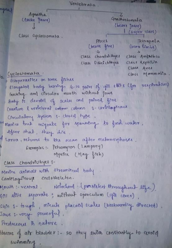 ANIMAL KINGDOM NOTES - MBBS