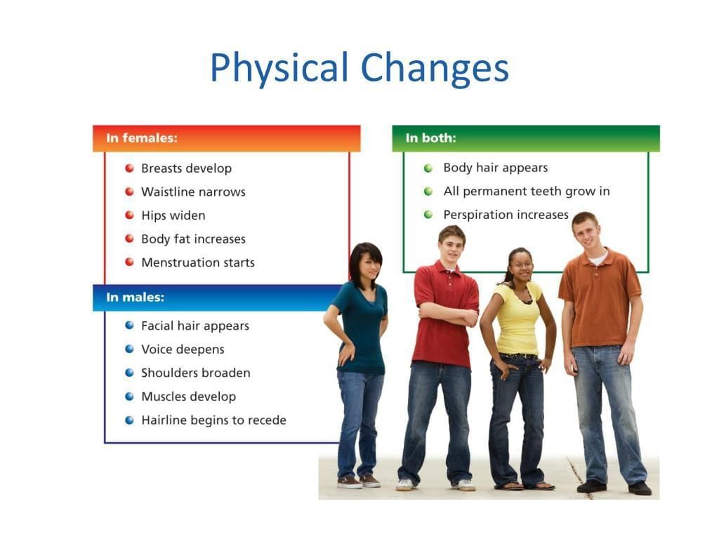 Adolescence: A Stage of Growth and Change Class 7 Notes Science Chapter 6 Free PDF