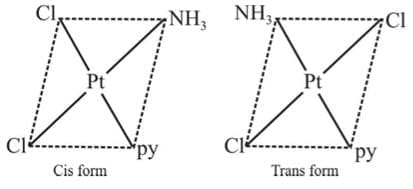Stereo Isomerism
