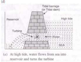 Lakhmir Singh & Manjit Kaur: Sources of Energy, Solutions- 3 | Lakhmir Singh & Manjit Kaur Solutions: Class 10 Science