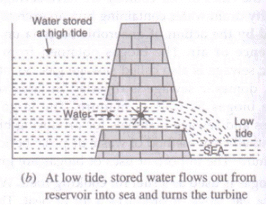 Lakhmir Singh & Manjit Kaur: Sources of Energy, Solutions- 3 | Lakhmir Singh & Manjit Kaur Solutions: Class 10 Science