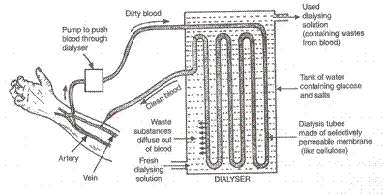 Lakhmir Singh & Manjit Kaur Solutions: Life Processes - 4 | Science Class 10