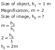 Lakhmir Singh & Manjit Kaur: Reflection of Light, Solutions- 3 | Science Class 10