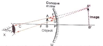 Lakhmir Singh & Manjit Kaur: Reflection of Light, Solutions- 2 | Science Class 10