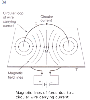 Lakhmir Singh & Manjit Kaur: Magnetic Effects of Electric Current, Solutions- 2 | Science Class 10