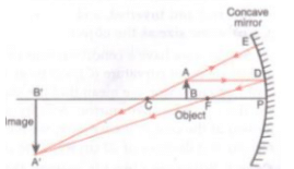 Lakhmir Singh & Manjit Kaur: Reflection of Light, Solutions- 2 | Science Class 10