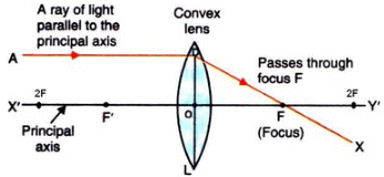 Lakhmir Singh & Manjit Kaur: Refraction of Light, Solutions- 2 | Science Class 10