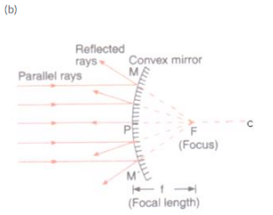 Lakhmir Singh & Manjit Kaur: Reflection of Light, Solutions- 2 | Science Class 10