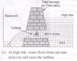 Lakhmir Singh & Manjit Kaur: Sources of Energy, Solutions- 3 | Lakhmir Singh & Manjit Kaur Solutions: Class 10 Science