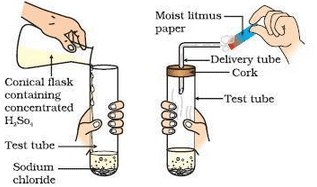 Lakhmir Singh & Manjit Kaur Solutions: Acids, Bases & Salts - 2 | Science Class 10