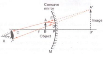 Lakhmir Singh & Manjit Kaur: Reflection of Light, Solutions- 2 | Science Class 10
