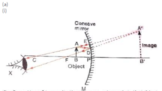 Lakhmir Singh & Manjit Kaur: Reflection of Light, Solutions- 2 | Science Class 10