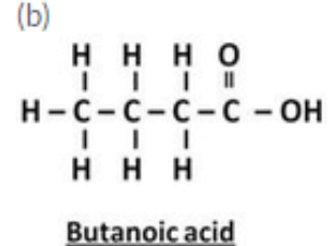 Lakhmir Singh & Manjit Kaur: Carbon And Its Compounds, Solutions- 3 | Science Class 10