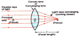 Lakhmir Singh & Manjit Kaur: Refraction of Light, Solutions- 2 | Science Class 10