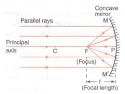 Lakhmir Singh & Manjit Kaur: Reflection of Light, Solutions- 2 | Science Class 10
