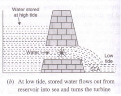 Lakhmir Singh & Manjit Kaur: Sources of Energy, Solutions- 3 | Lakhmir Singh & Manjit Kaur Solutions: Class 10 Science