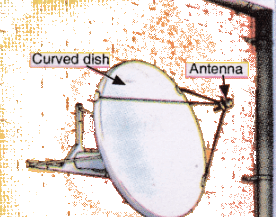 Lakhmir Singh & Manjit Kaur: Reflection of Light, Solutions- 4