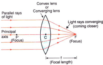 Lakhmir Singh & Manjit Kaur: Refraction of Light, Solutions- 2 | Science Class 10
