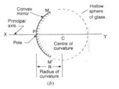 Lakhmir Singh & Manjit Kaur: Reflection of Light, Solutions- 2 | Science Class 10