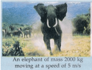Lakhmir Singh & Manjit Kaur: Force and Law of Motion, Solutions- 1 | Science Class 9