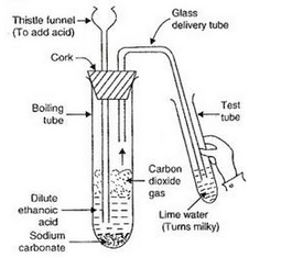 Lakhmir Singh & Manjit Kaur: Carbon And Its Compounds, Solutions- 4 | Science Class 10