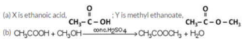 Lakhmir Singh & Manjit Kaur: Carbon And Its Compounds, Solutions- 4 | Science Class 10