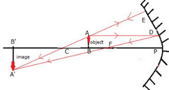 Lakhmir Singh & Manjit Kaur: Reflection of Light, Solutions- 2 | Science Class 10
