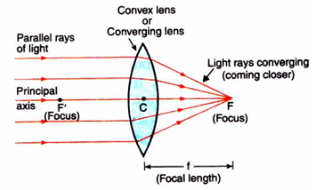 Lakhmir Singh & Manjit Kaur: Refraction of Light, Solutions- 3 | Science Class 10