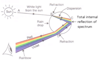 Lakhmir Singh & Manjit Kaur: The Human Eyes And The Colorful World, Solutions- 4 | Science Class 10