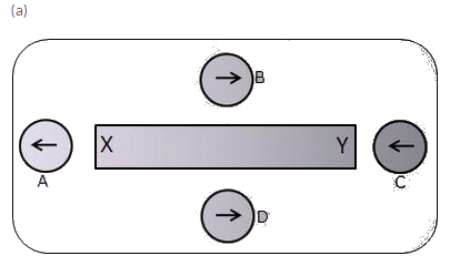 Lakhmir Singh & Manjit Kaur: Magnetic Effects of Electric Current, Solutions- 1 | Science Class 10