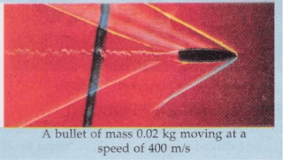 Lakhmir Singh & Manjit Kaur: Force and Law of Motion, Solutions- 1 | Science Class 9