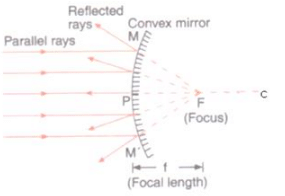 Lakhmir Singh & Manjit Kaur: Reflection of Light, Solutions- 2 | Science Class 10