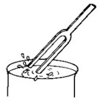 Lakhmir Singh & Manjit Kaur: Sound, Solutions- 1 | Science Class 9