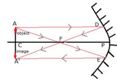 Lakhmir Singh & Manjit Kaur: Reflection of Light, Solutions- 2 | Science Class 10