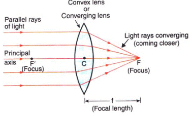 Lakhmir Singh & Manjit Kaur: Refraction of Light, Solutions- 2 | Science Class 10