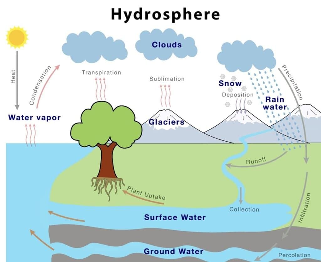 Hydrosphere Chapter Notes | Science for Grade 5