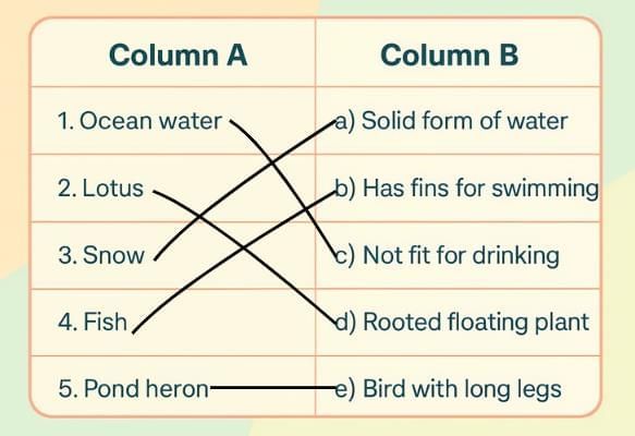Worksheet Solutions: Water - The Essence of Life | Worksheets with Solutions for Class 5