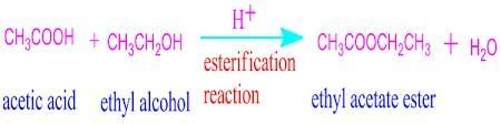 Carbon Compounds Chapter Notes | Earth and Environmental Science for Year 12