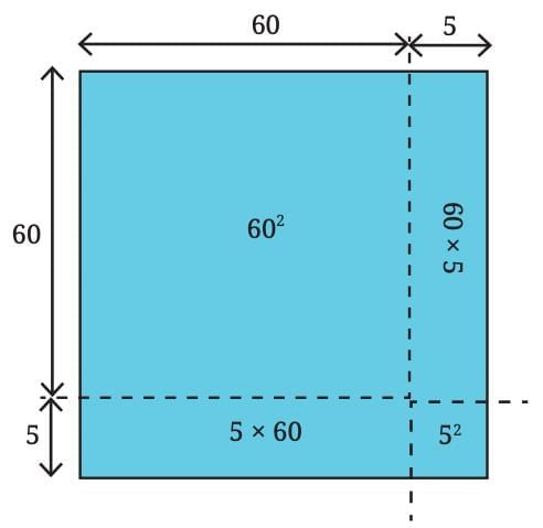 We Distribute, Yet Things Multiply Chapter Notes | Mathematics Class 8- New NCERT (Ganita Prakash)