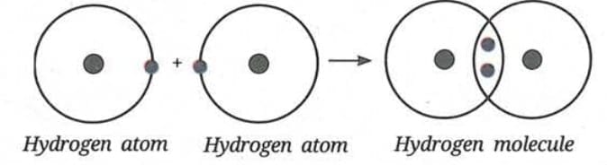 A. Molecules of Elements