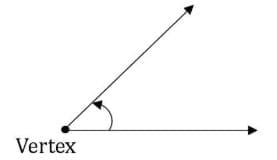 Assertion-Reason Questions